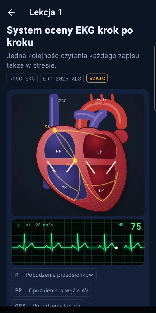 Kurs EKG z animowanym sercem